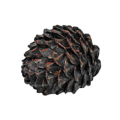 Stash Stone Pinecone