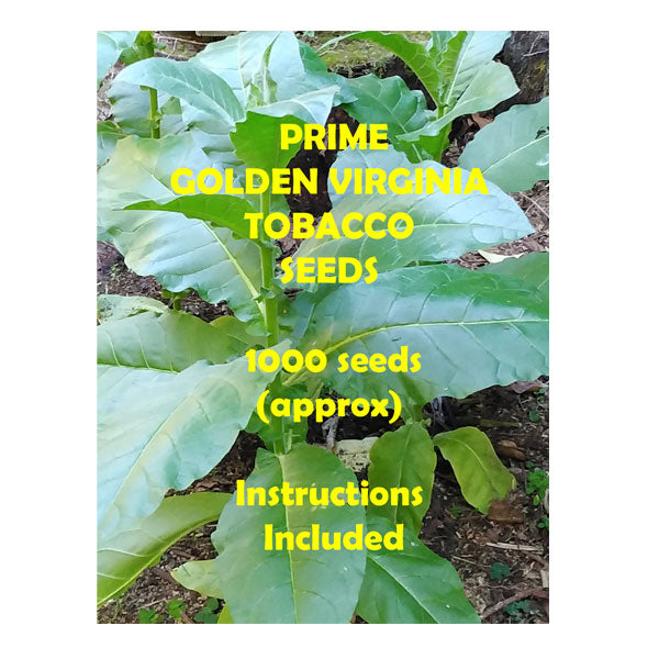 virginia gold tobacco seeds Tobacco Seed Golden Virginia 1000pk virginia gold tobacco seeds Tobacco Seed Golden Virginia 1000pk